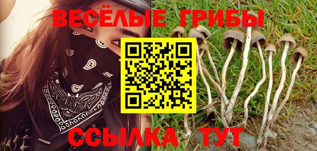 Псков  Галлюциногенные грибы Magic Shrooms  Вход с VPN 